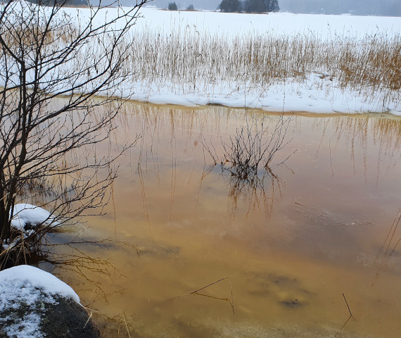 Nousuvettä Bengtsårin rannoilla helmikuussa 2022
